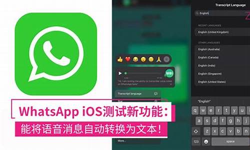 WhatsApp 在名片上